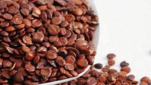 Wervelkolom datum zaad Extract