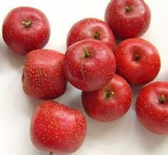 Hawthorn Fruit poeder