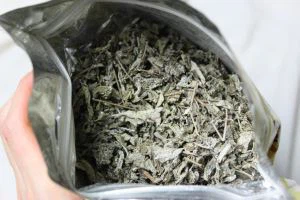 Kruiden Thee Gynostemma Thee Vine Thee Extract Chinese Vine Thee Squaw Vine Thee Tijdens Zwangerschap