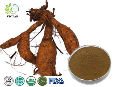 pueraria extract poeder