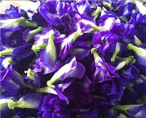 Vlinder Erwt Bloem Poeder