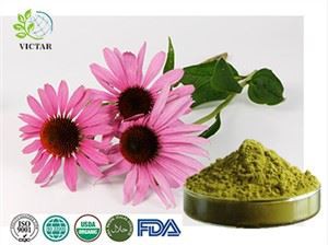 Echinacea-extract