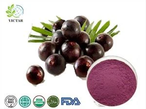 Acai Bessensap Poeder