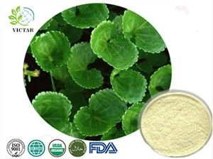 centella asiatica extract poeder