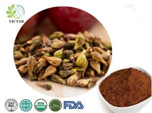 Druivenpitextract