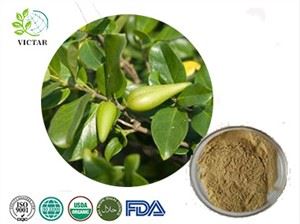 Gyminena-extract