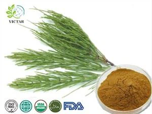 Paardestaart Extract
