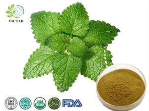 Citroenmelisse extract