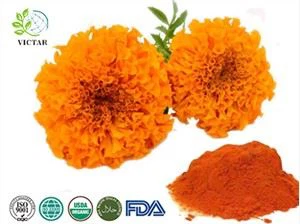 Goudsbloem Extract