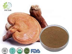 Organisch Reishi Paddenstoelenextract Poeder