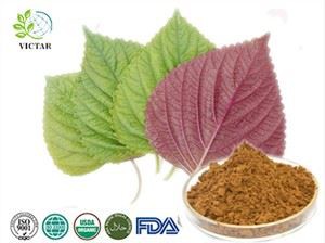 Perilla Blad Extract