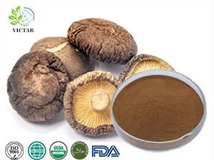 Shiitake paddenstoelenextract