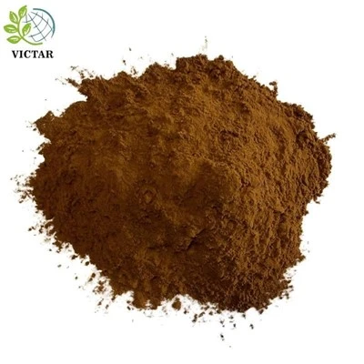 Chaga-champignonpoeder