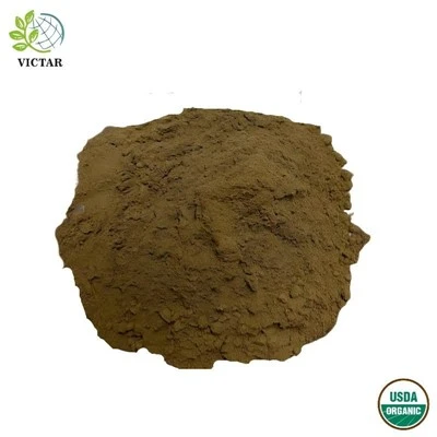 Biologisch Ginkgo Biloba-bladpoeder